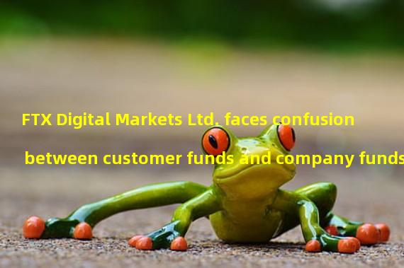 FTX Digital Markets Ltd. faces confusion between customer funds and company funds