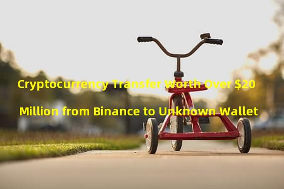 Cryptocurrency Transfer Worth Over $20 Million from Binance to Unknown Wallet