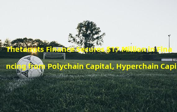 Thetanuts Finance Secures $17 Million in Financing from Polychain Capital, Hyperchain Capital, and Magnus Capital