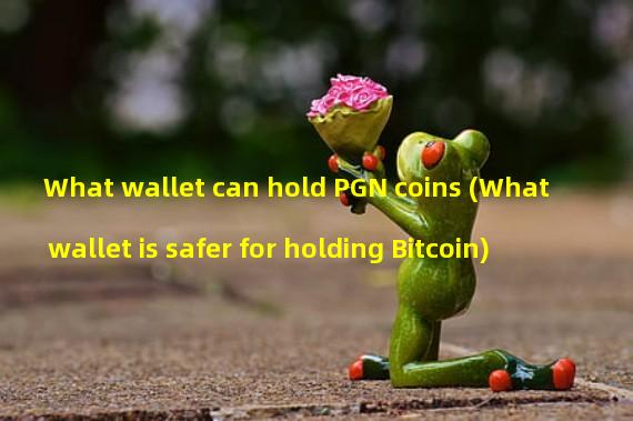 What wallet can hold PGN coins (What wallet is safer for holding Bitcoin)