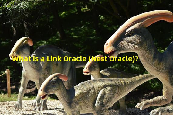 What is a Link Oracle (Nest Oracle)?